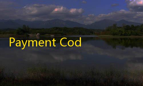 暗区突围挂免费科技Payment Code源码实现多钱包收款码的自适应网页源码